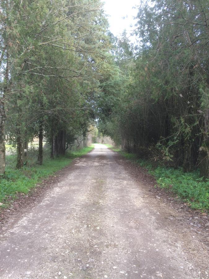 Quinta De Coalhos Th Villa Abrantes Eksteriør bilde
